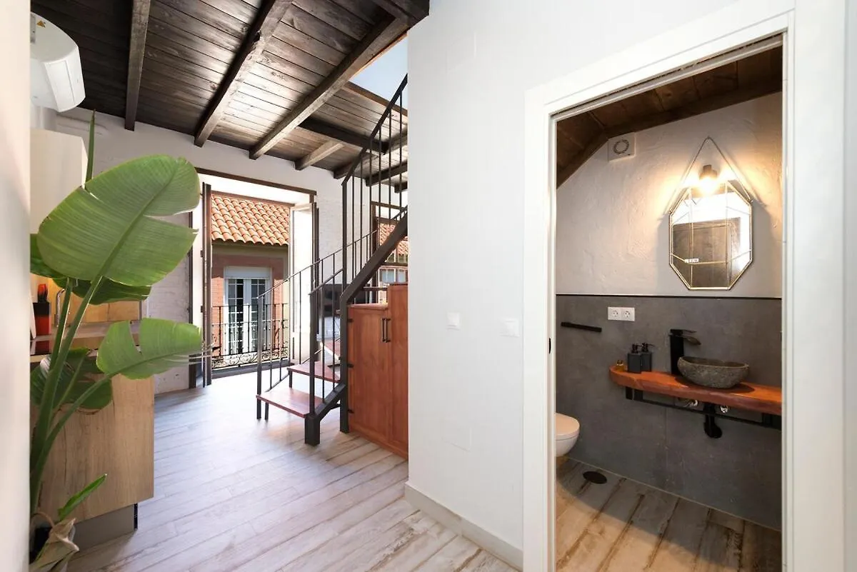 Duplex Con Terraza Y Jacuzzi En Centro Malaga Piso 2C Apartment